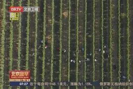 开云体验APP官网入口-清晨法国杯传出新动向，底特律活塞门线救险，管理层表态：震撼外界，球队文化再被提及